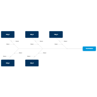 5 Whys - Fishbone Diagram