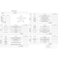 5S Audit Form - Type 1