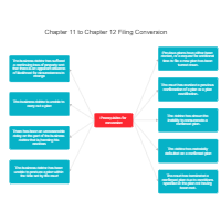 Chapter 11 to Chapter 12 Filing Conversion