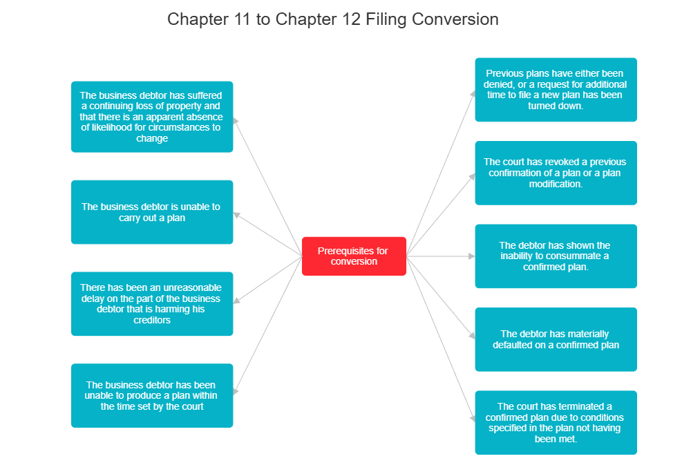 Example Image: Chapter 11 to Chapter 12 Filing Conversion