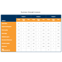 Business Strength - Competitive Analysis