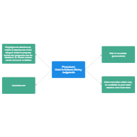 Procedures Used to Enforce Money Judgment