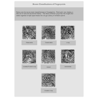 Fingerprint Classifications