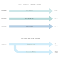 Models of Motive