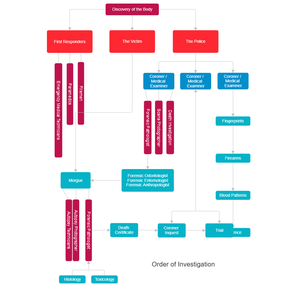 Example Image: Order of Investigation