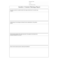 Gunshot Forensic Pathology Report