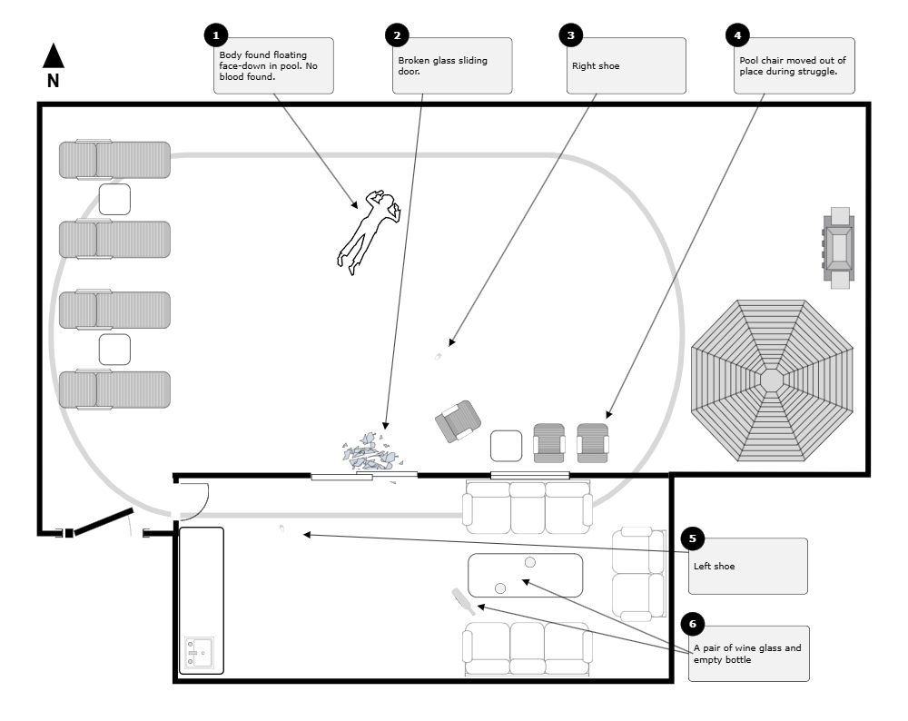 Example Image: Crime Scene - Pool