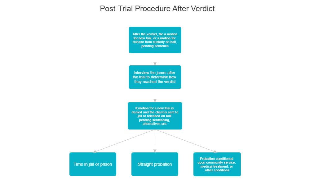 Example Image: Post-Trial Procedure After Verdict