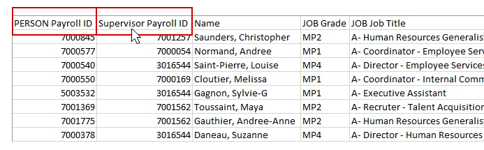 Format your org chart data