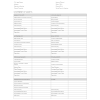 Statement of Assets