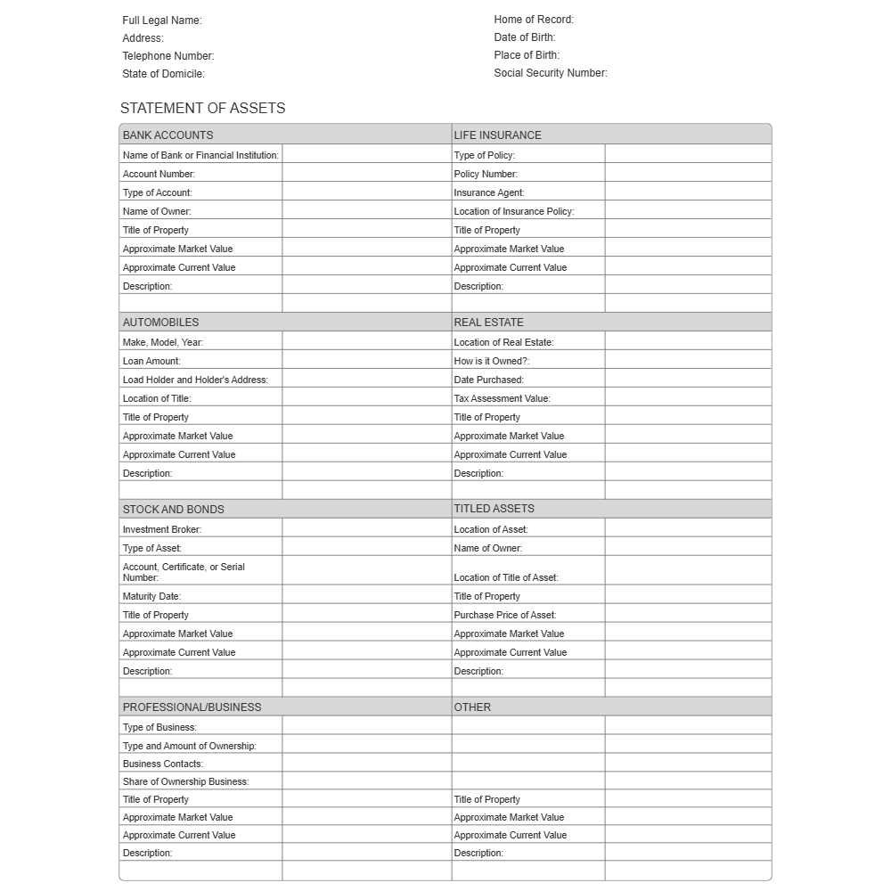 Example Image: Statement of Assets