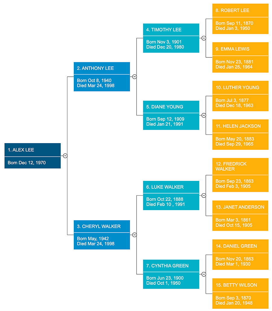 Family tree horizontal