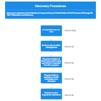 Discovery Procedures