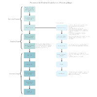 Procedure for Federal Court Action - Pleading Stage