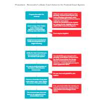Procedure - Removal of a State Court Action to the Federal Court System