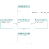 Five Forces Analysis Example - 1