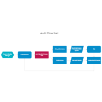 Audit Flowchart