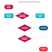 Marketing Email Correction Process