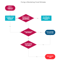 Marketing Email Correction Process