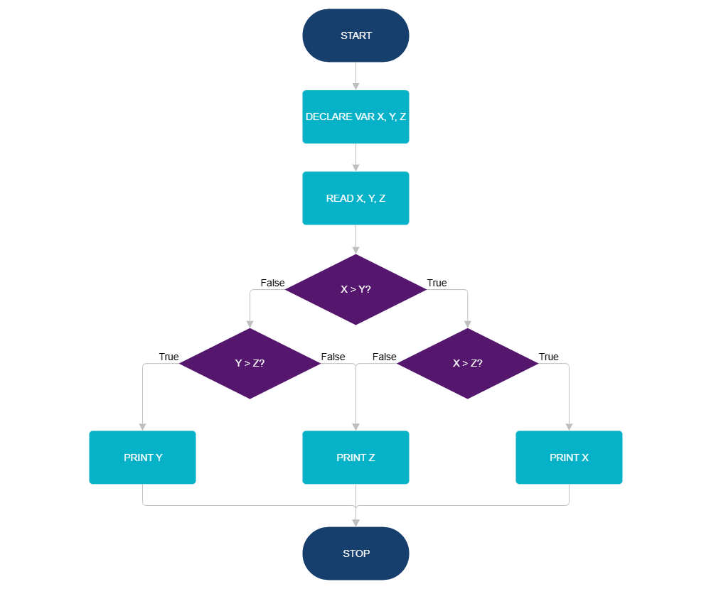 Example Image: Programming Flowchart