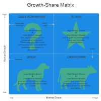 Growth-Share Matrix Guidelines