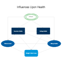 Health Influence Diagram