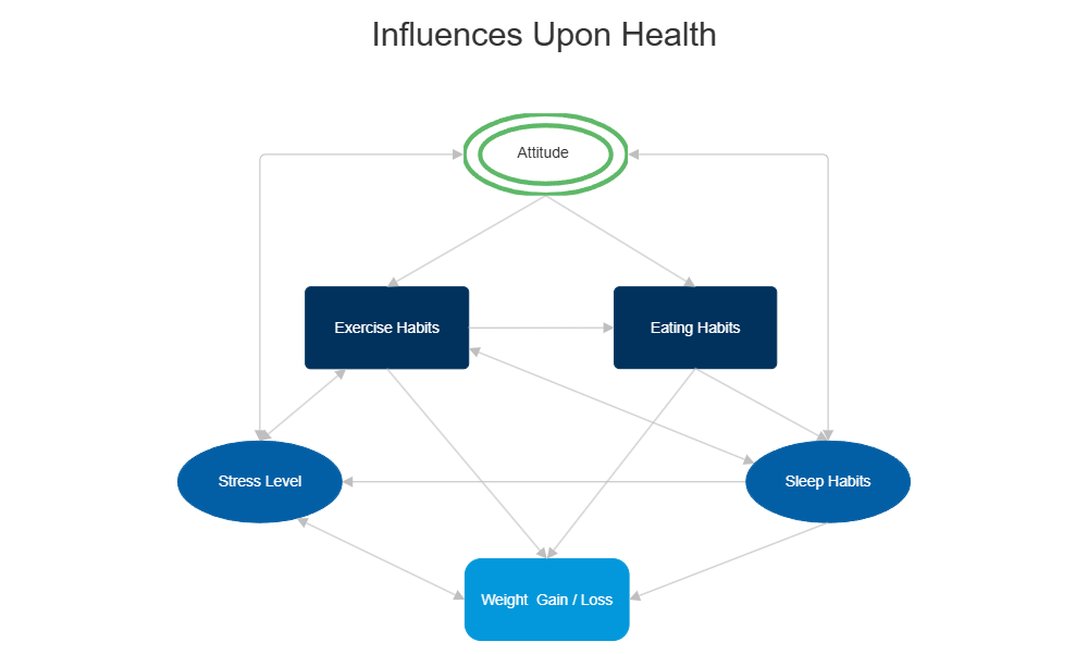 Example Image: Health Influence Diagram