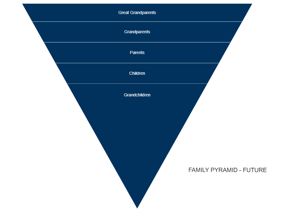 Example Image: Family Pyramid - Future
