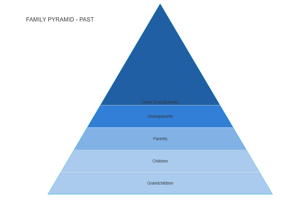 Example Image: Family Pyramid - Past