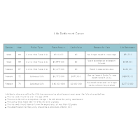 Life Settlement Examples