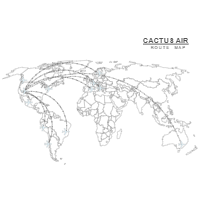 Airline Route Map