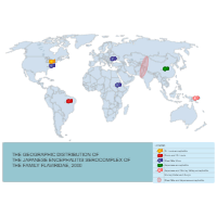 CDC World Map