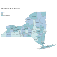Influenza Activity Week Map