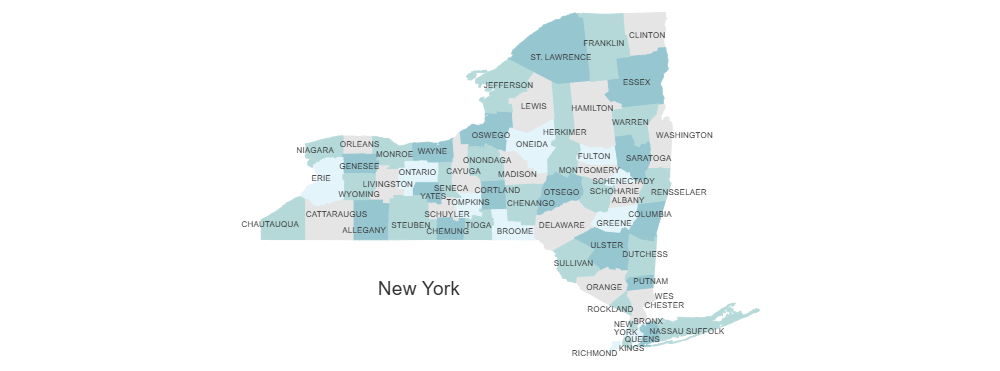 Example Image: New York Counties Map
