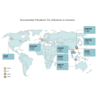 Pandemic Flu World Map