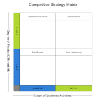 Competitive Strategy Matrix