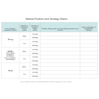 Market Position and Strategy Matrix