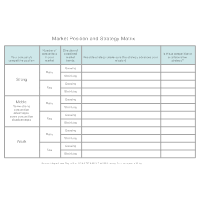 Market Position and Strategy Matrix