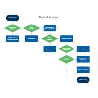 Medical Services Flowchart