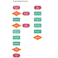 Organ Donation - Medical Flowchart