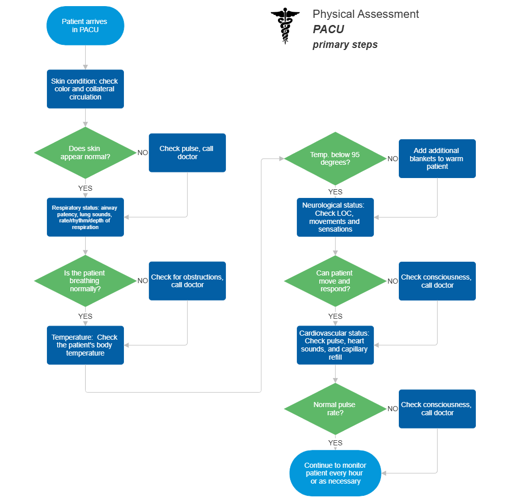 Example Image: Physical Assesment Flowchart