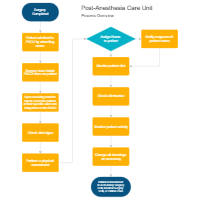Post-Anesthesia Care Unit Flowchart