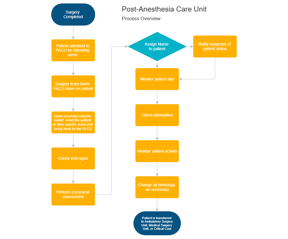 Example Image: Post-Anesthesia Care Unit Flowchart
