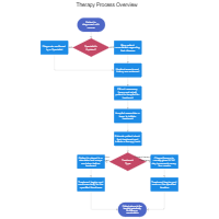 Therapy Process Overview Flowchart