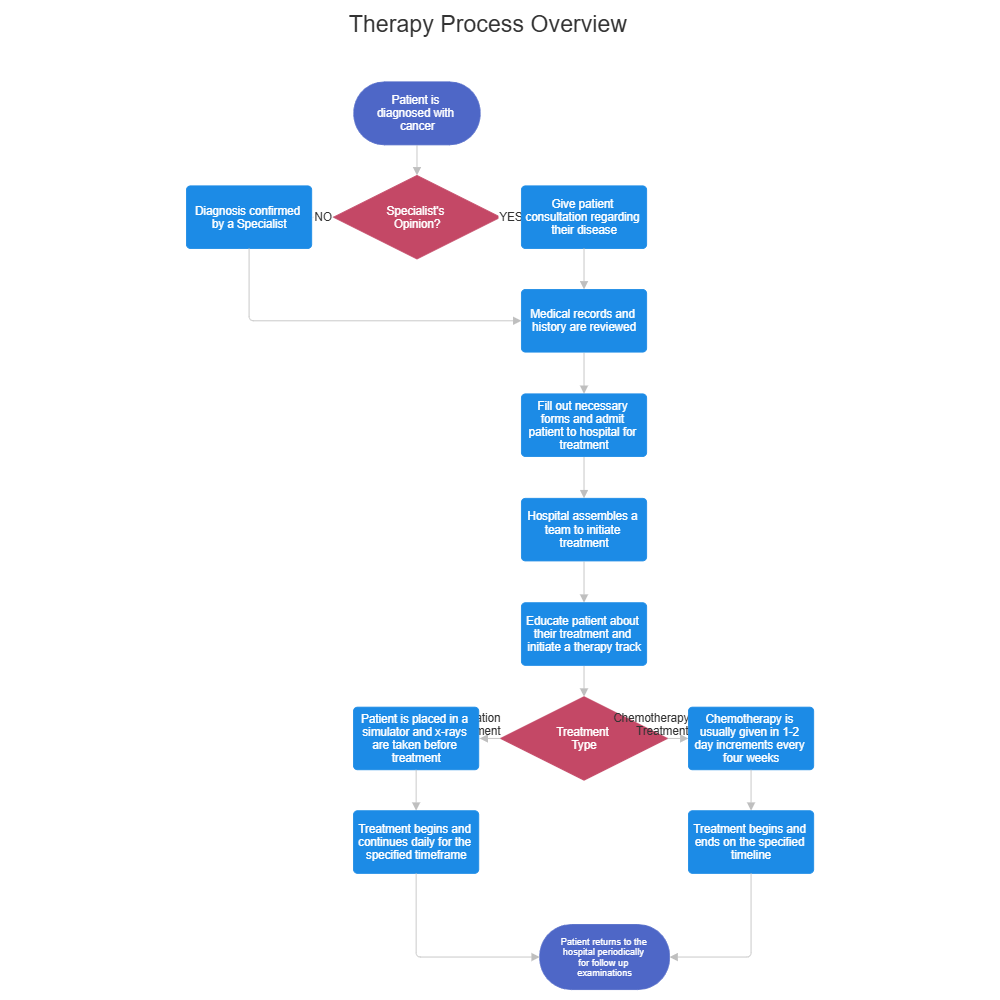 Example Image: Therapy Process Overview Flowchart