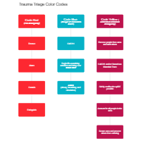 Trauma Triage Color Codes Flowchart