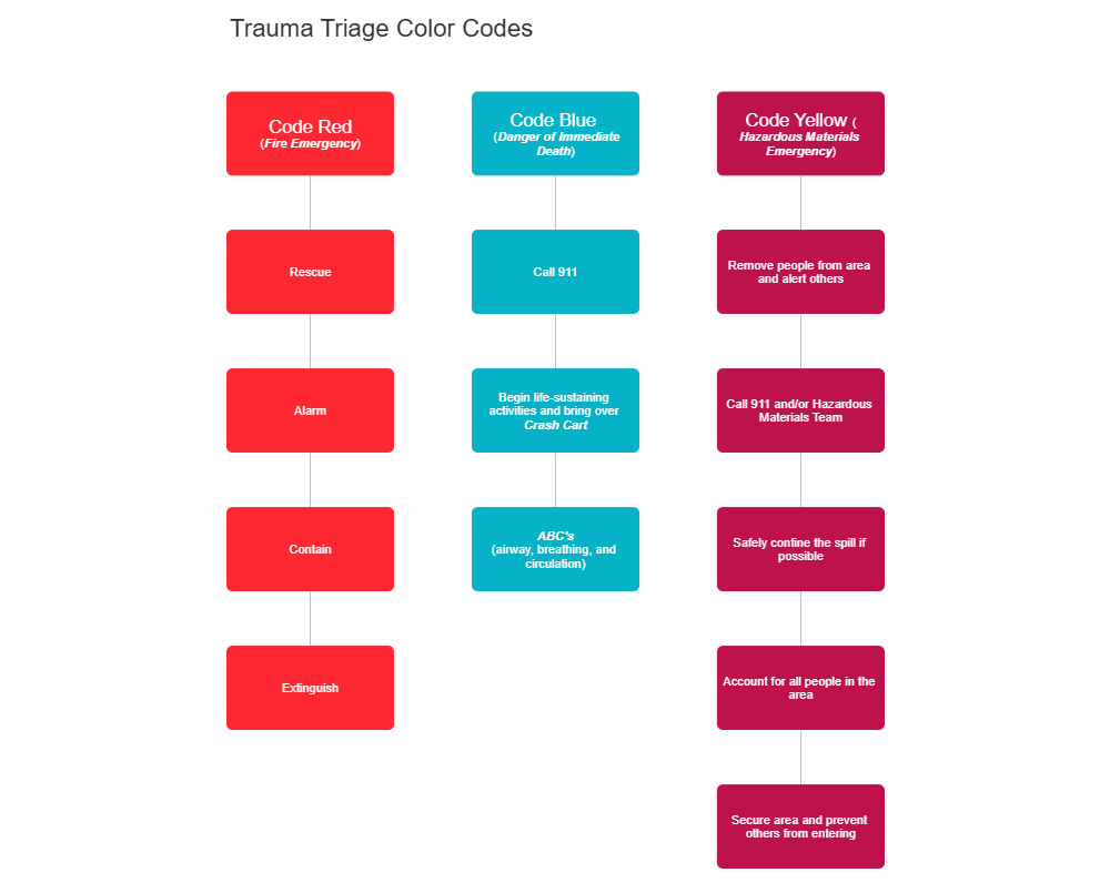 Example Image: Trauma Triage Color Codes Flowchart