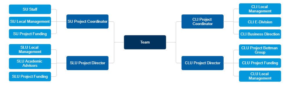 Example Image: Team Hierarchy Hub