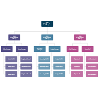 Healthcare Organizational Chart