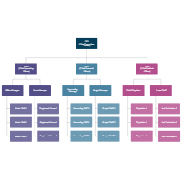 Healthcare Organizational Chart